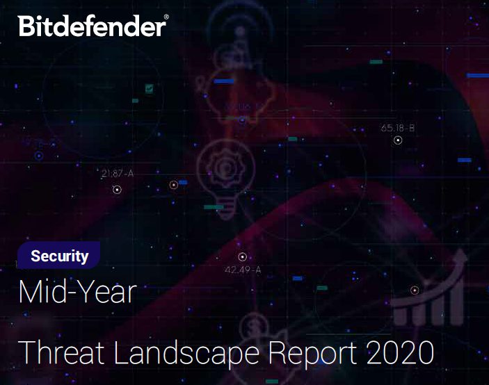 Mid-Year Threat Landscape Report